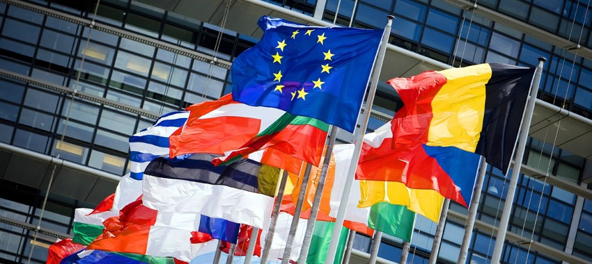Avrupa Birliği Destekleri ve Danışmanlık Hizmetleri