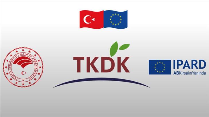 TKDK Destekleri ve Danışmanlık Hizmetleri